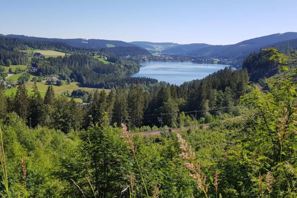 Black Forest Schwarzwaldblick Pool Netflix WiFi Höchenschwand Exterior foto
