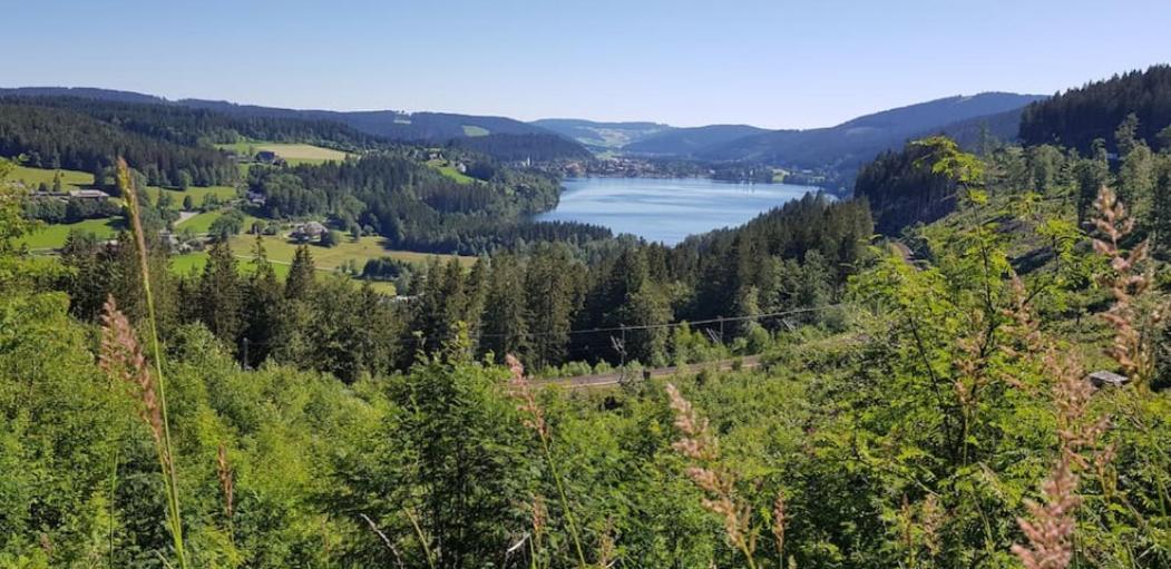 Black Forest Schwarzwaldblick Pool Netflix WiFi Höchenschwand Exterior foto