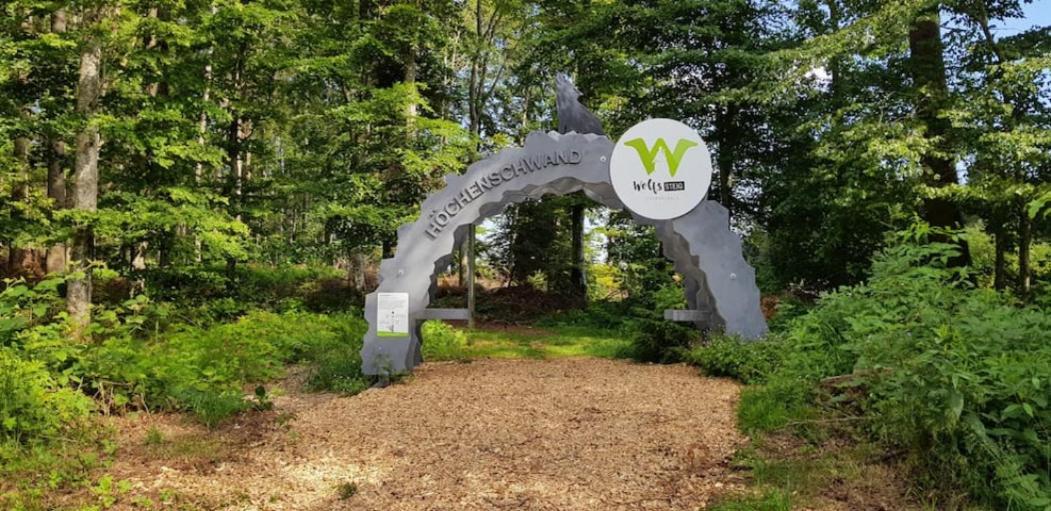 Black Forest Schwarzwaldblick Pool Netflix WiFi Höchenschwand Exterior foto